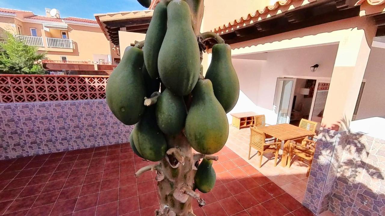La Casa De La Papaya, By Comfortable Luxury Corralejo Exteriér fotografie